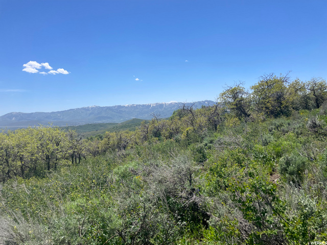 2539 S Forest Cir #16, Wanship, UT 84017 — photo 4