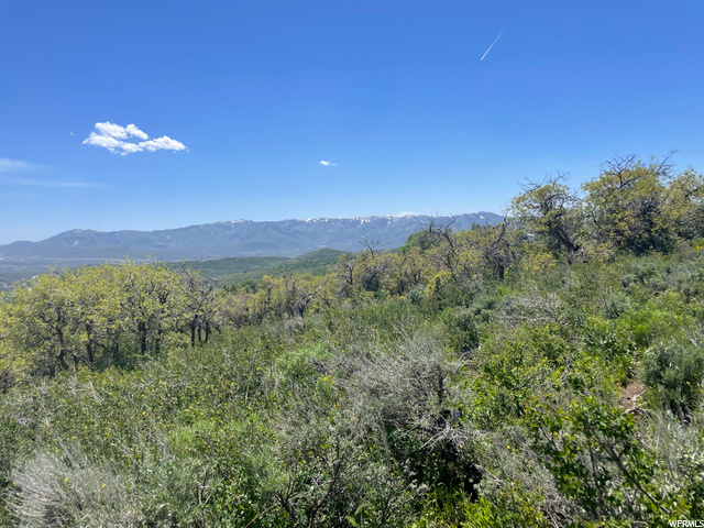 2539 S Forest Cir #16, Wanship, UT 84017 — photo 5