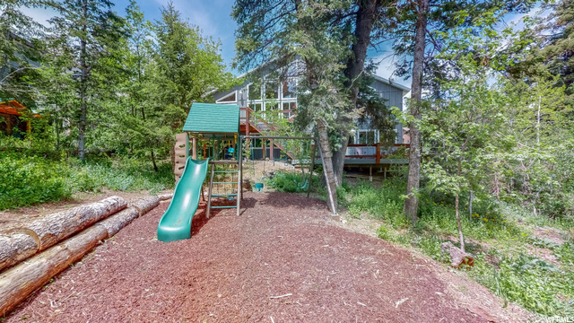 Back yard