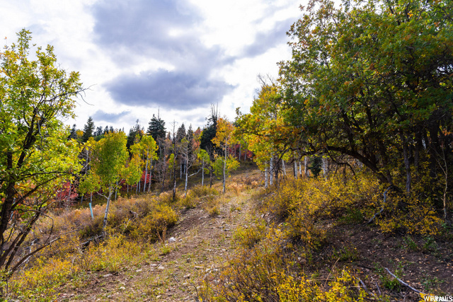 543 Upper Cove Rd #51, Park City, UT 84098