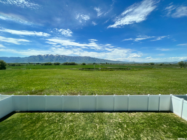 backyard/view