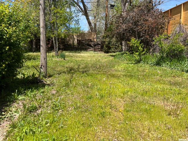 Large Rectangle backyard