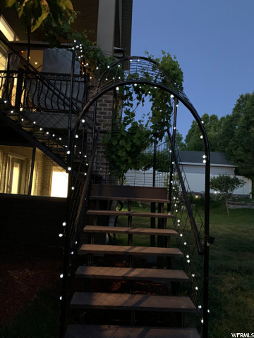 Grape Vines Shade the Stairs