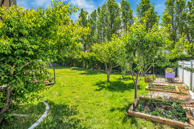 Fruit and Garden