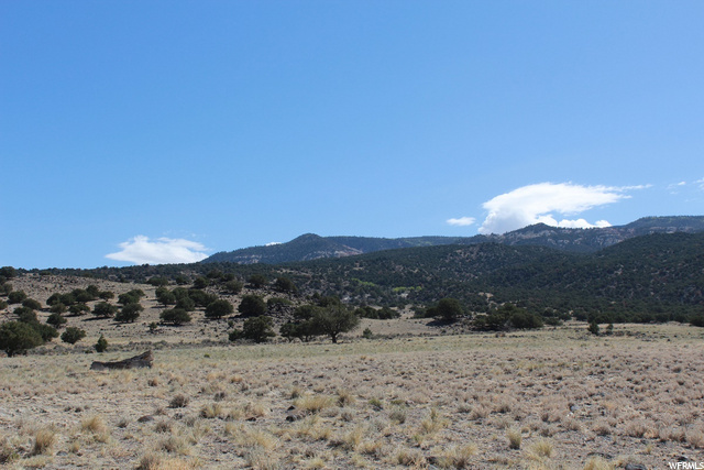 500 E Foothill Dr, Lyman, UT 84749 — photo 4