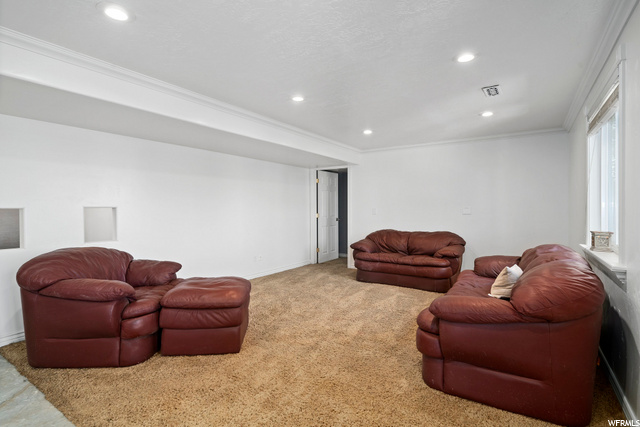 Basement living/Family room