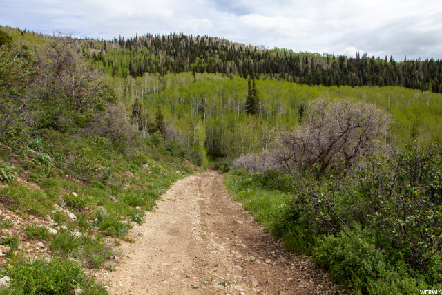 #94, Kamas, UT 84036 — photo 3