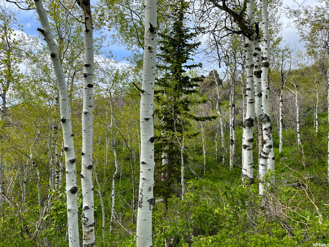 #94, Kamas, UT 84036 — photo 4