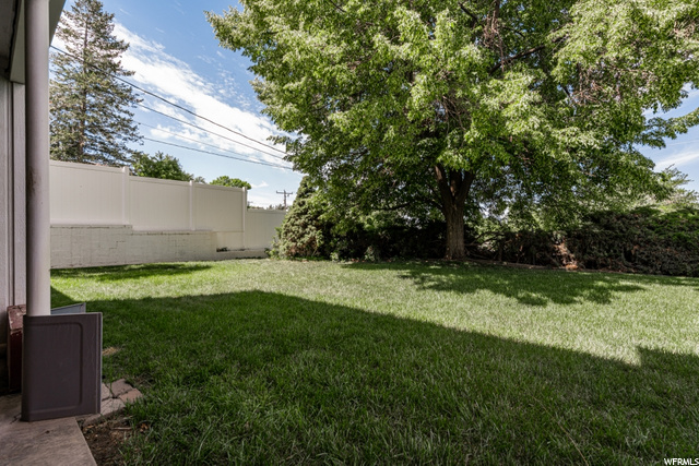 Huge Back Yard
