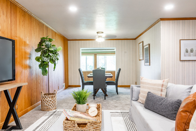 Open living area