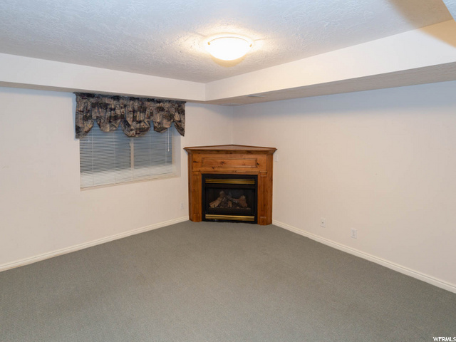 GAS FIREPLACE