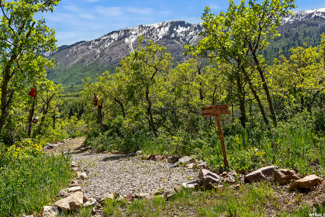 Fun walking path through the property is also a fi