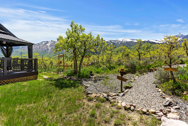 Native grasses & plants require little water.
