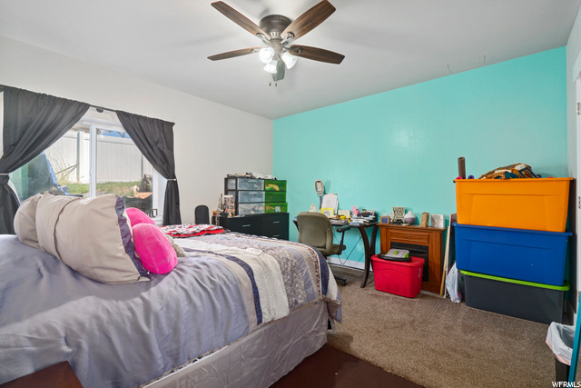 Bedroom 4 (Basement)