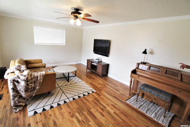 FRONT ROOM