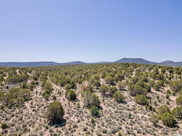 3000 E Juniper Aprox Rd, Enterprise, UT 84725 — photo 6
