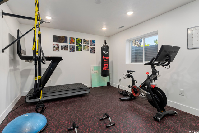 Lower Level Home Gym