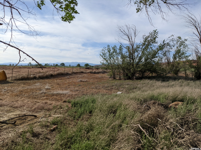 Back Acreage
