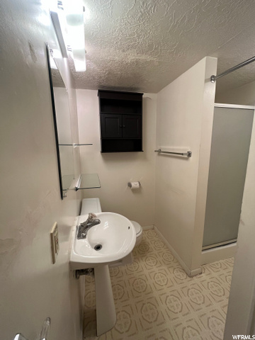 Basement Bathroom