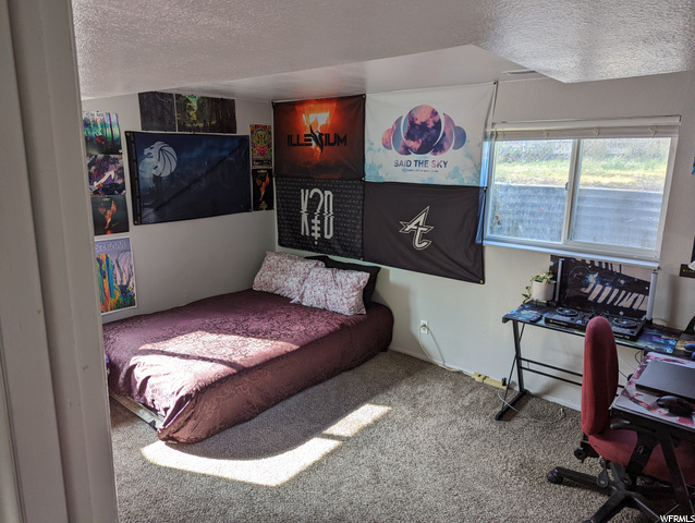 Downstairs BR