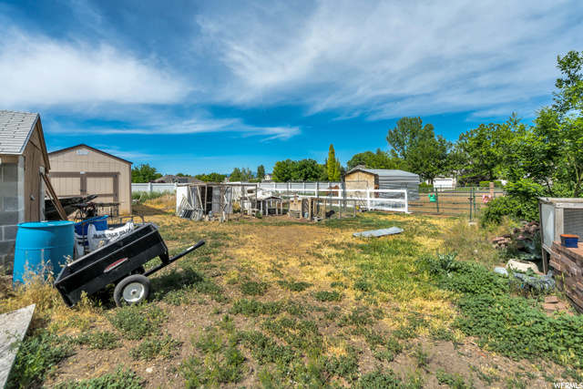 Horse property