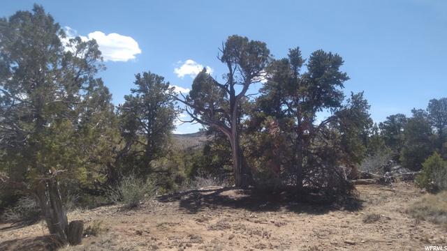 #6, Fruitland, UT 84027 — photo 6