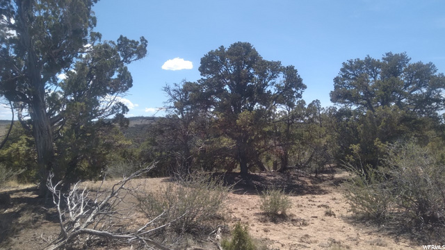#6, Fruitland, UT 84027 — photo 10