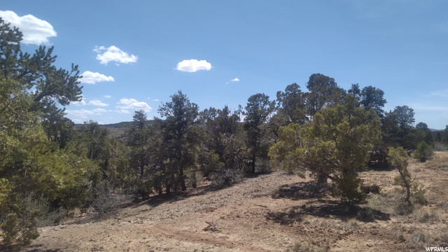 #6, Fruitland, UT 84027 — photo 4