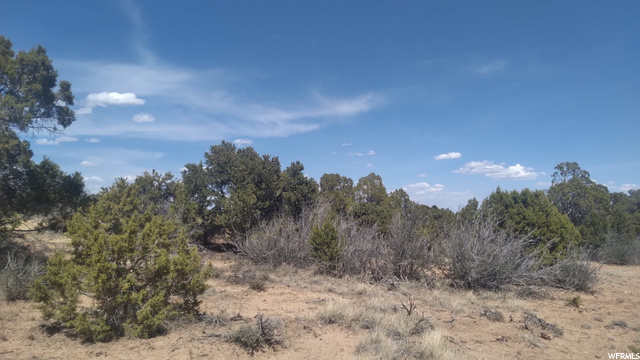 #6, Fruitland, UT 84027 — photo 8