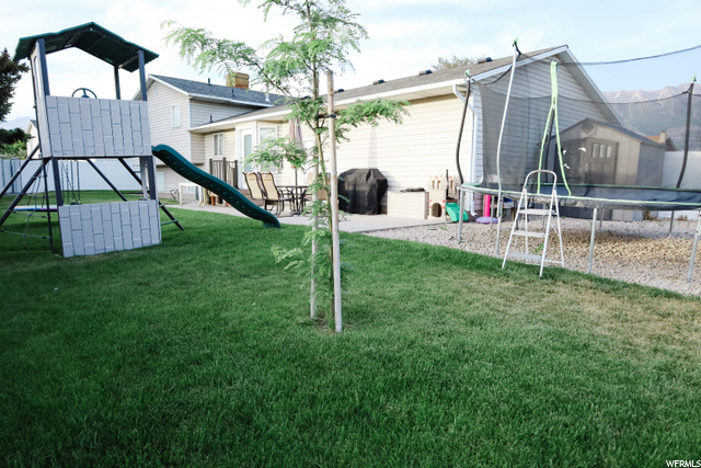 backyard  area
