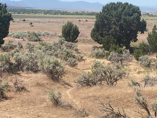 Fillmore, UT 84631 — photo 8