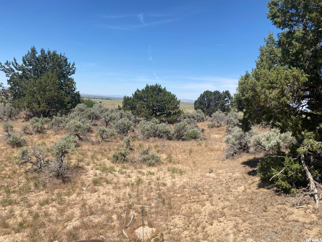 Fillmore, UT 84631 — photo 9