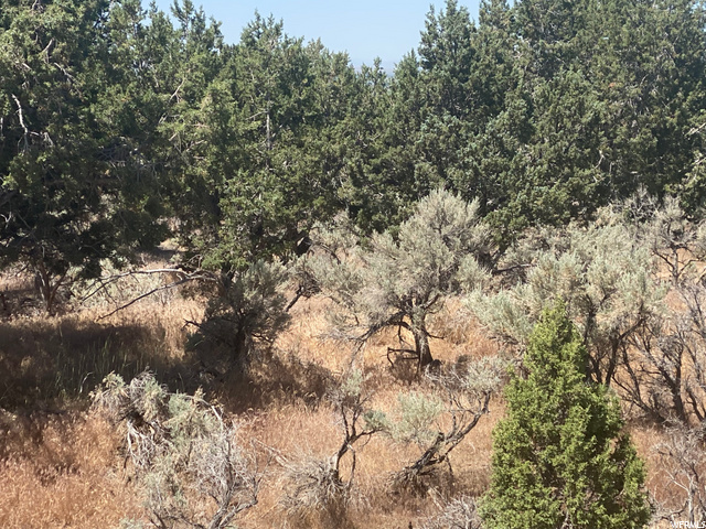 Fillmore, UT 84631 — photo 7