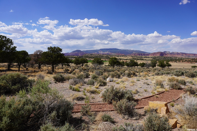 1041 S Donkey Flats Rd E, Teasdale, UT 84773 — photo 4