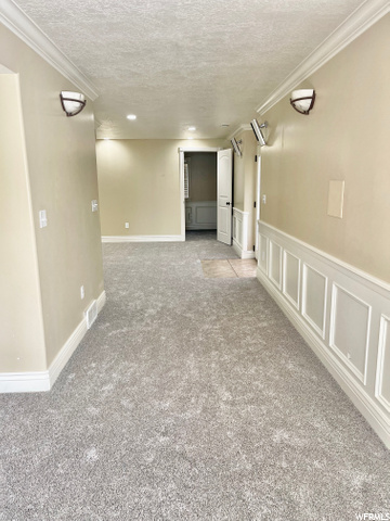 New carpet in basement