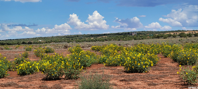 3333 E Eight Mile Gap Rd S, Kanab, UT 84741 — photo 3