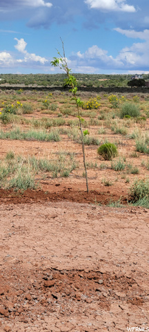 3333 E Eight Mile Gap Rd S, Kanab, UT 84741 — photo 5