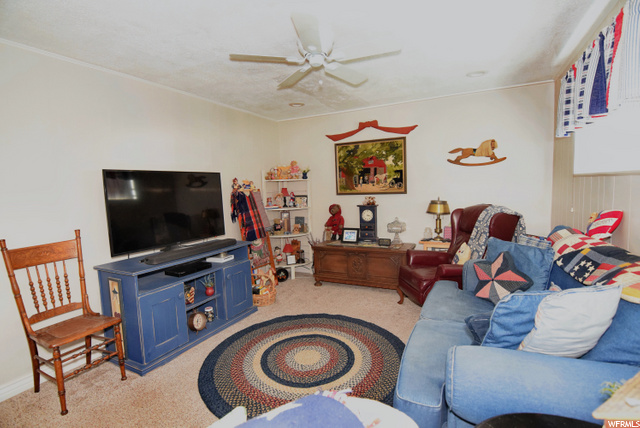 Basement Family Room