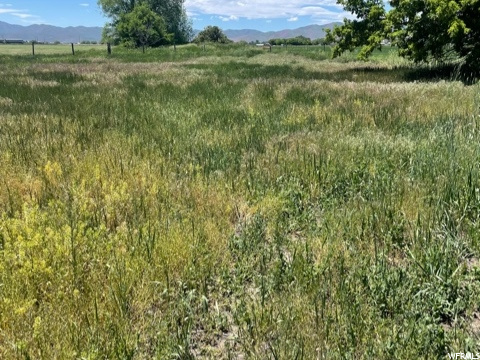Image 20