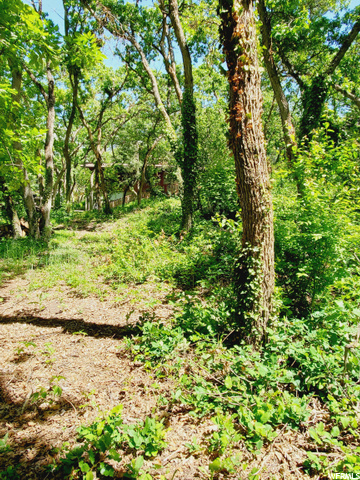 bottom of the hill/property line