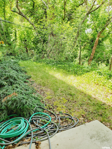 outside the basement sliding door