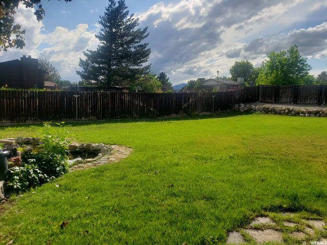 back yard