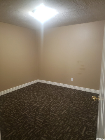 Basement den #1