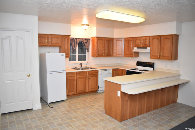 Apartment kitchen