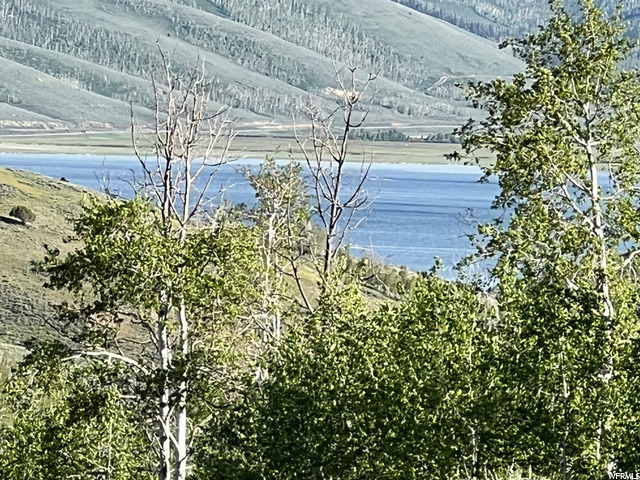 #89, Scofield, UT 84526 — photo 7