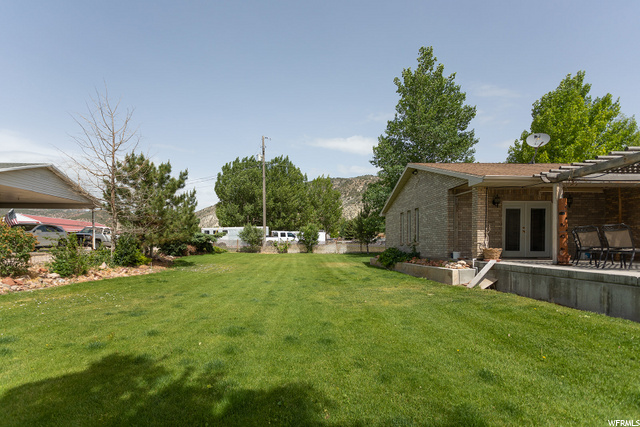 Big Beautiful Well Kept Yard!