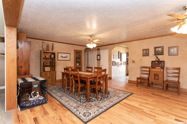 Large Dining Room