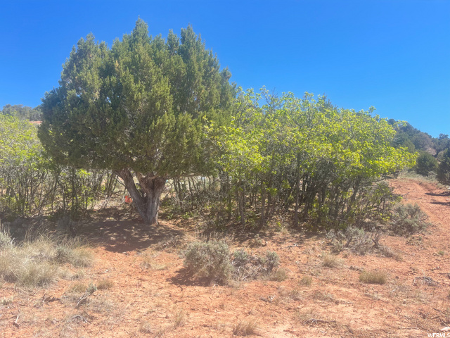 #239, Fruitland, UT 84027 — photo 4