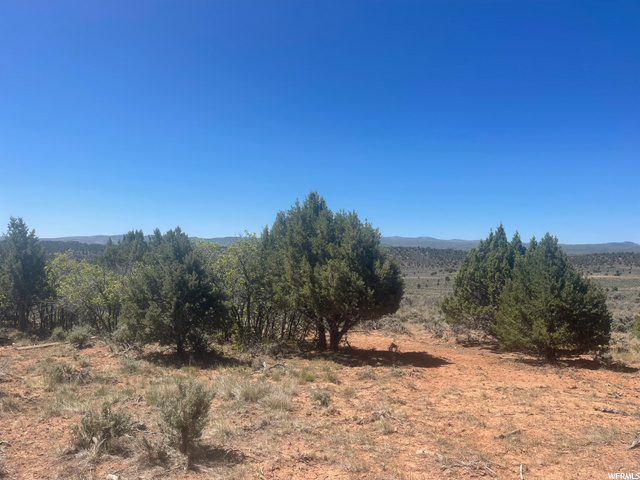 #239, Fruitland, UT 84027 — photo 2