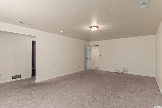 Basement Family Room
